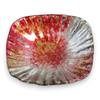 J-kitchens Side Plate, Glass Plate, Oval, Medium, Red and Gold, 14cm, Sairan