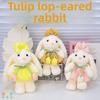 Plush Rabbit Toy With Short Plush Material For Girls Gift And Collection