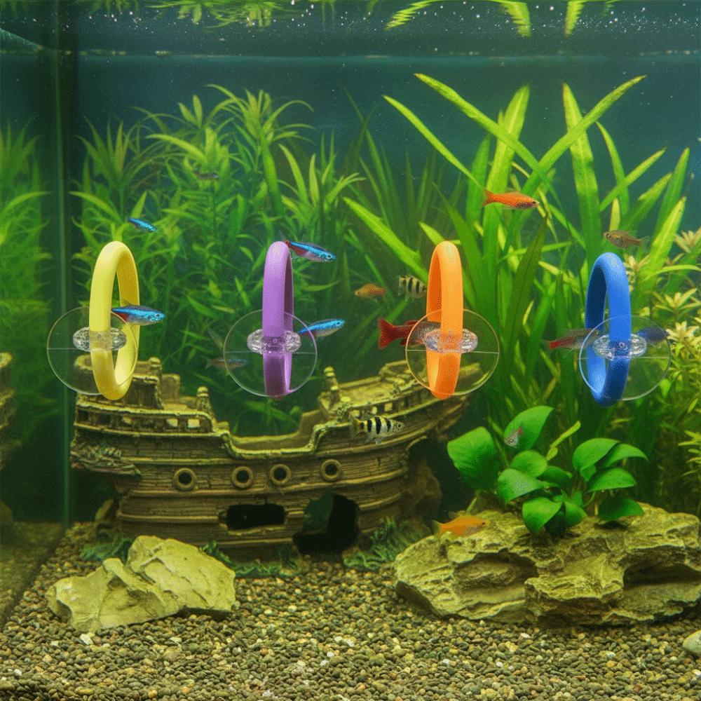 4PCS/SET Creative Suction Cup Fish Training Ring Waterproof Fish Tail Fish Teasing Colorful Fish Tank Decorative Ring Aquarium