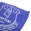 Everton FC Crest Cushion