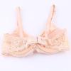 Luxury Women Charming Sexy Bra Lace Mesh Ultra-Thin Bra