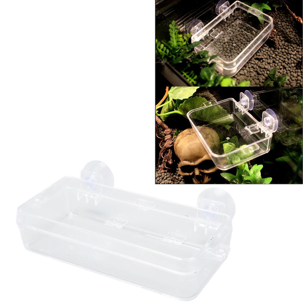 Reptile Feeder Cup Prevent Escape Transparent Reptile Feeding Dish with Suction Cup for     Bearded Dragon