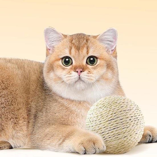 Jute Ball Cat Toy with Large Self-Entertainment Ball Squeaker Extra for Teething Biting Natural Sisal Toy