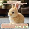 Realistic Bunny Toy Electronic Toy Bunny Simulated Rabbit Doll Jumping Twitching And Shaking Ears Toys Easter Children'S Gifts