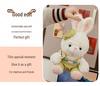 Painter Series Teddy Bear & Rabbit Plush Toy - Cute Doll Gift for Girls' Birthdays