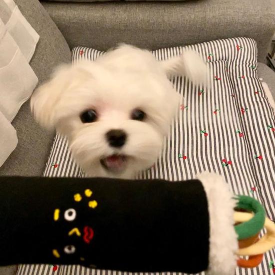 Dog Puzzle Toy Plush Dog Snuffle Toy Interactive Crinkle Dog Treat Dispenser Enrichment Toy for Dogs Boredom Relief Mental Stimulation