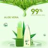 Aloe Vera Natural Moisturizer Lipstick Temperature Changed Color Lip Balm Makeup
