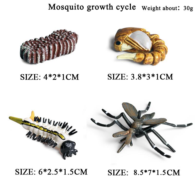 Oenux Simulation Luna Moth Salmon Butterfly Ants Life Growth Cycle Animals Model Action Figures Educational Miniature Kids Toy