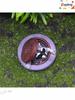 Raccoon Figurine Under Cover - Resin Ornament for Home and Garden Decor