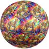 1pc Rainbow Cheetah Theme Soccer Ball Football, Size 5, Lightweight PVC, Outdoor Training Soccer Ball,Sports Gift t614100