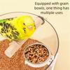 Bird Toilet Stand For Parrots Training Sett With Removable Tray Safe Substance Cage Mounting Pet Bird Accessory