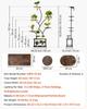 Plant Stand Indoor with Grow Lights, 157.5cm Tall 8-Tier Lighted Plant Shelf, Metal Corner Plants Holder, 3 Timer & 10 Brightness, Tree-Shaped Flower