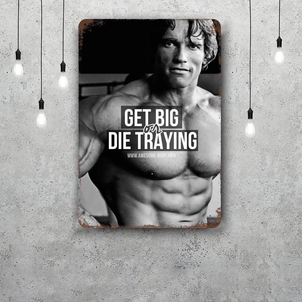 Bodybuilding Funny Bar Metal Sign Retro Plaque Vintage Sign Alcohol Drinker Pub Club Man Cave Kitchen Wall Decoration