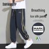 Herren Ice Silk Jogginghose