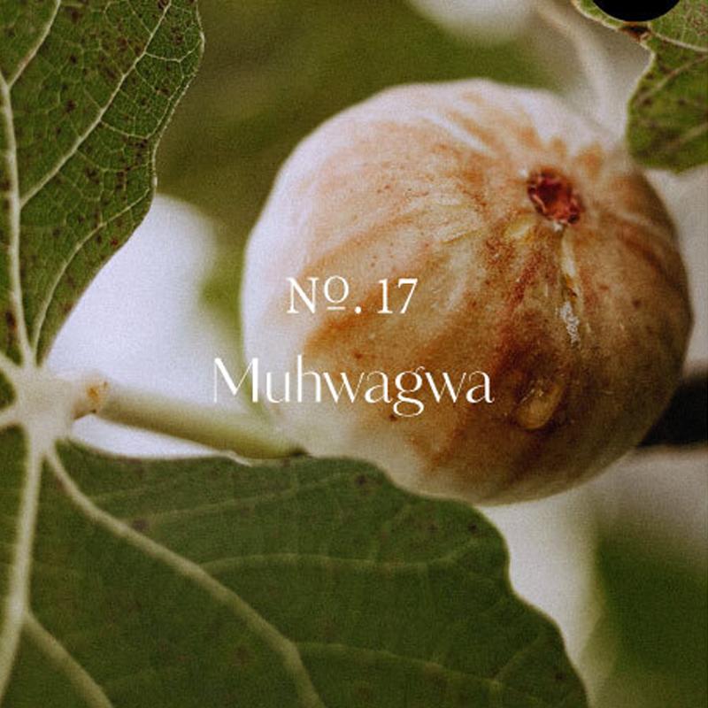 hetras Hotel Therapy Body Wash 1013ml