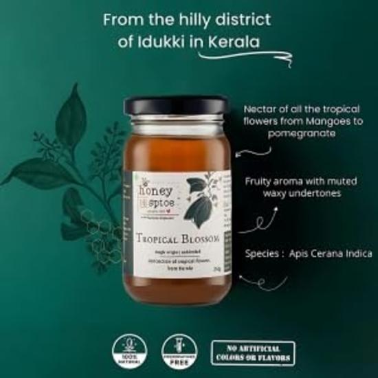 Honey and Spice Tropical Blossom Honey 100% Raw Natural Honey From the Plantations of Kerala Made by Apis Cerana Bees 500 G- Pack of 2