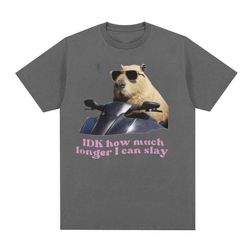 IDK How Much Longer I Can Slay Capybara Funny Meme T Shirts Unisex Women Retro O-Neck Fashion T-shirt Casual Cotton Oversized Tees