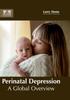 The Perinatal Depression: A Global Overview Book