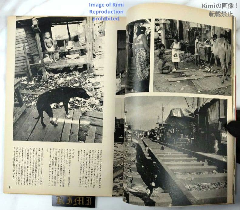 Shashin Jidai Photo Era Super Photo Magazine November 1981 (Showa 56) Cover Juri Hamada Japanese Vintage Magazine Japan