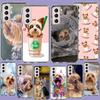 Yorkshire Terrier Dog Phone Case For Samsung A17 A56 A36 A26 A16 A55 A35 A25 A15 A05S Galaxy A71 A51 A41 A31 A21S A70 A50 A40 A3