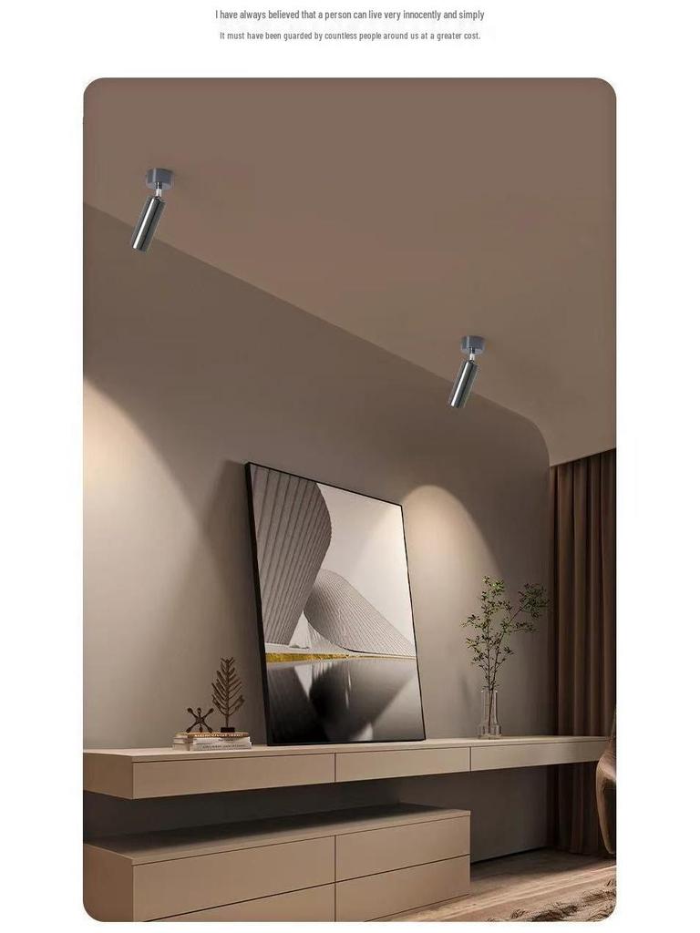 Surface Mounted Adjustable Mid-Century LED Wall Spotlight