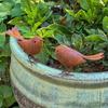 Funny Iron Art Bird Ornaments Rusty Retro Bird Statue Metal Bird Sculptures  Outdoor Lawn