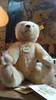 [USED] Steiff Classic Teddy Bear