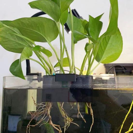 Hydrokultur-Lagerregal, 5 Löcher, Aquarium-Pflanzenstützen, Regal für Aquaponik-Anbau, Aquascape-Dekorationen
