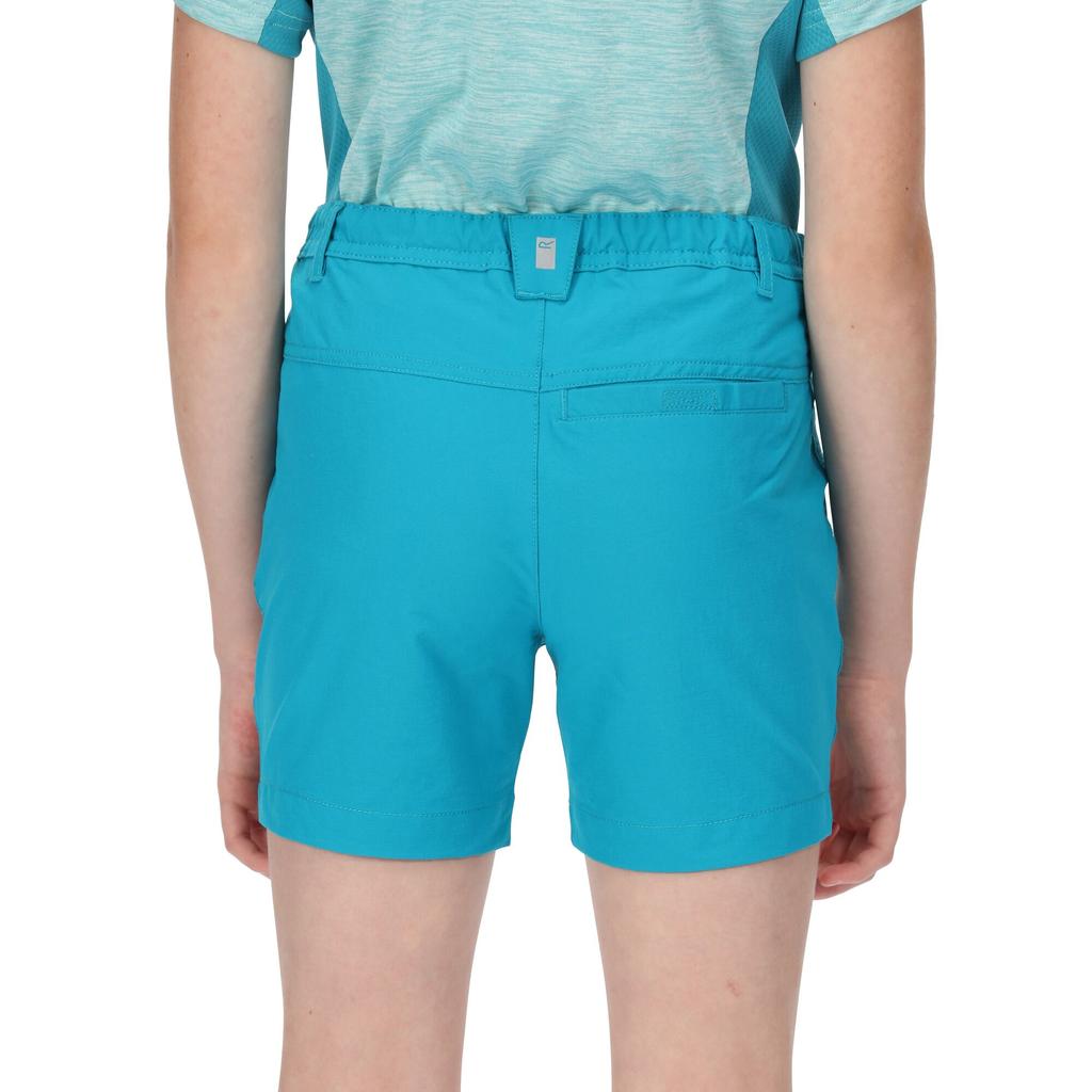 Regatta Childrens/Kids Highton Shorts