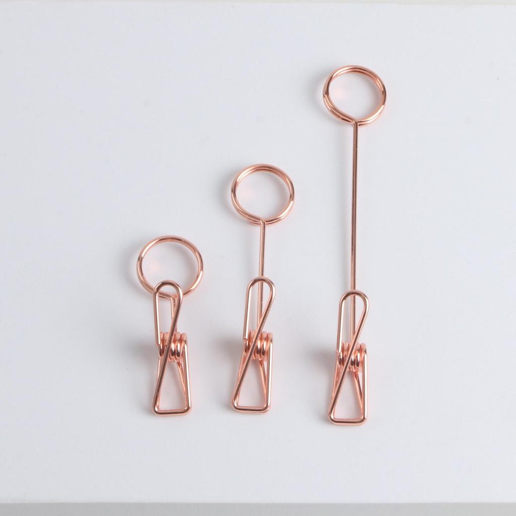 Creative Metal Desktop Photo and Memo Holder with Hanging Option