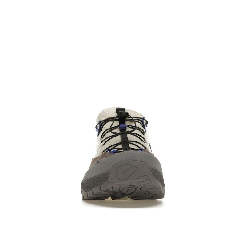 SALOMON Alpinway Advanced Almond Milk Plum Kitten Unisex Sneakers Cream Clematis L47595600