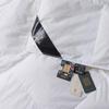 Z.M.N. Ledo Pure Cotton Goose Down Winter Comforter