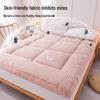 3D Soft Cushion Tatami Mattress Pad for Home, Dorm, or Rentals