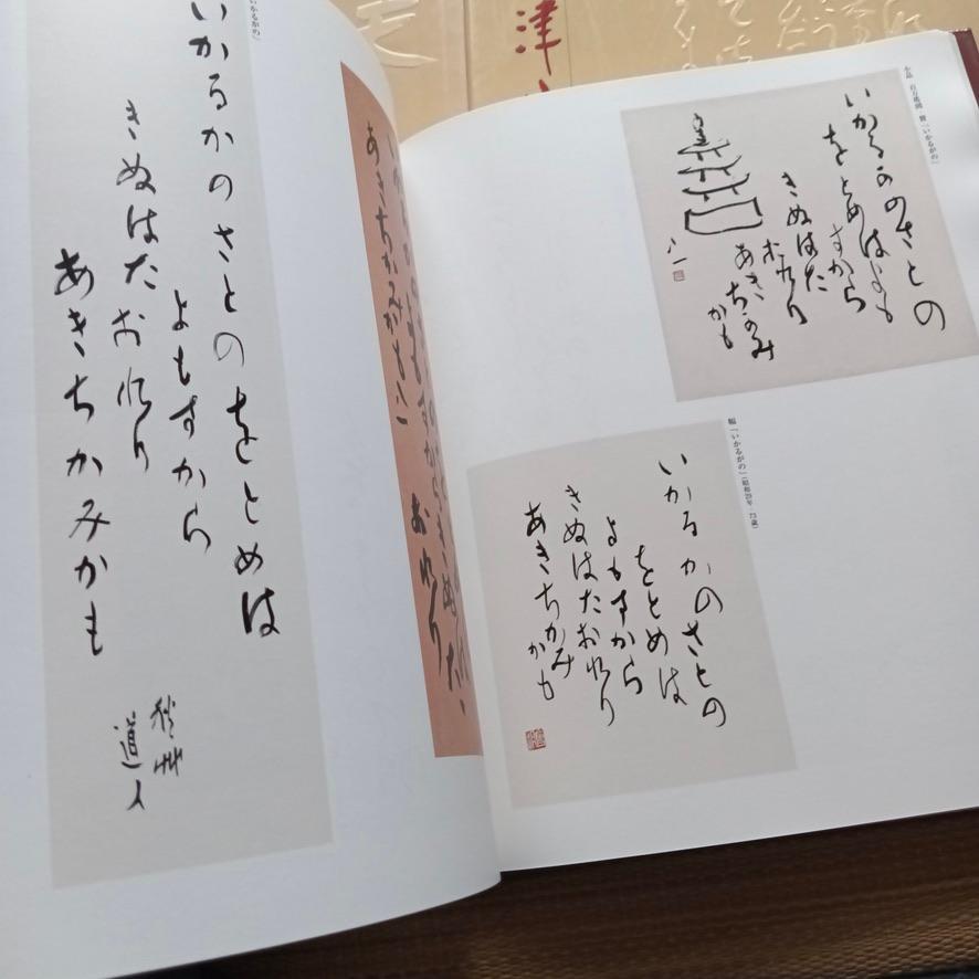[FOLOSIT] Colecție de caligrafie de Aizu Yaichi de Akikusa Dojin, deținută de Muzeul Memorial Aizu Yaichi din orașul Niigata, set de 3 volume