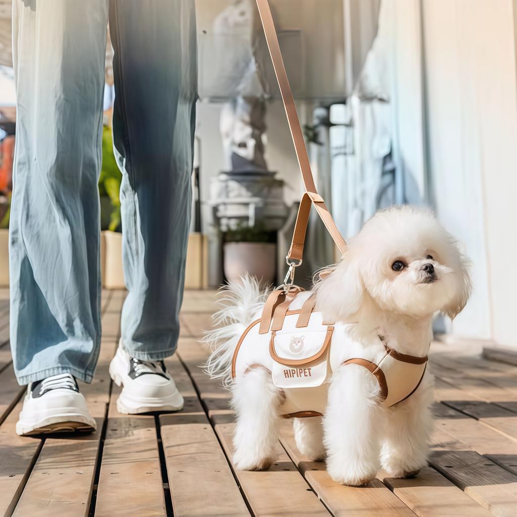 Dog Lift Harness Backpack for Small Dogs Sling Carrier with Handle Leash Pet Carrying Box Outdoor Walking Cats Carrying Supplies