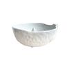 Ceramic Bowl with Cleaning for Cats and Dogs - Blue