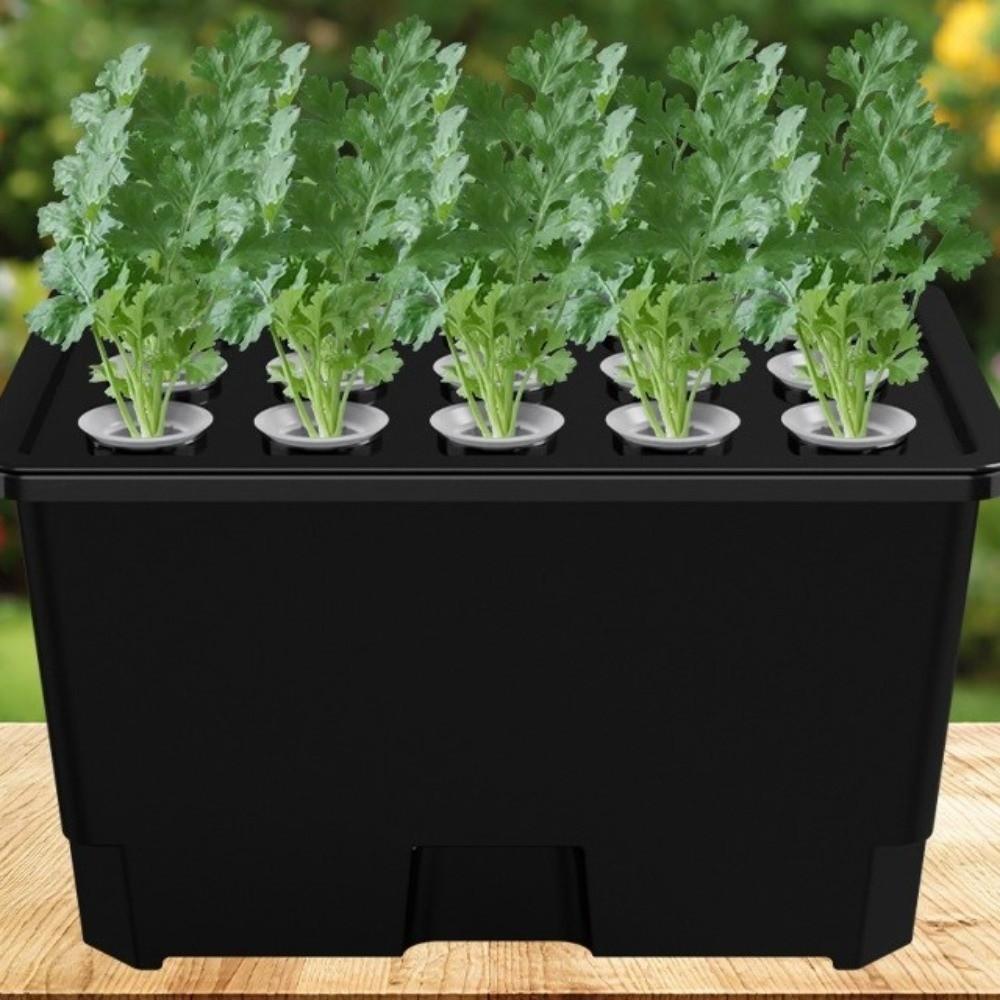 Split Design Hydroponic Box Thicken Planting Container Hydroponic Growing Box  Indoor Gardening