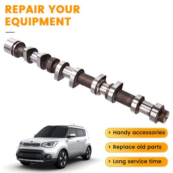 242002B000: Adatto per Assemblaggio Albero a Camme di Scarico Kia Soul 10-11