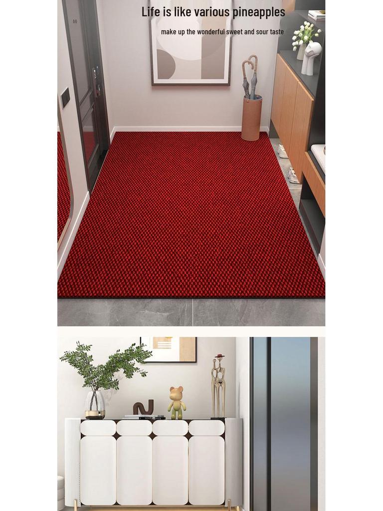 Cross-Border Non-Slip Indoor Entryway Doormat - Customizable Size