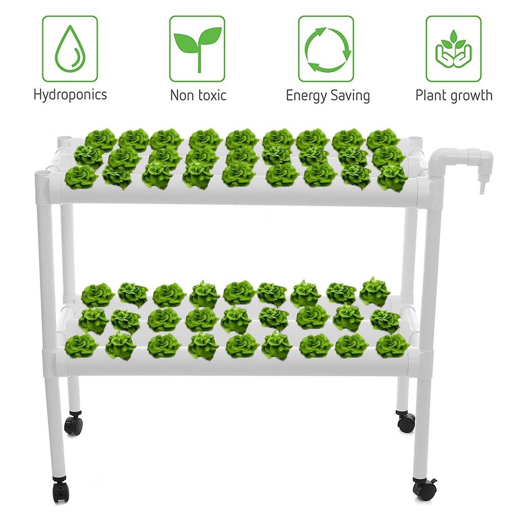 110-220V 54 Holes Hydroponic Piping Site Grow Kit Deep Water Culture Planting Box Gardening System Nursery Pot Hydroponic Rack