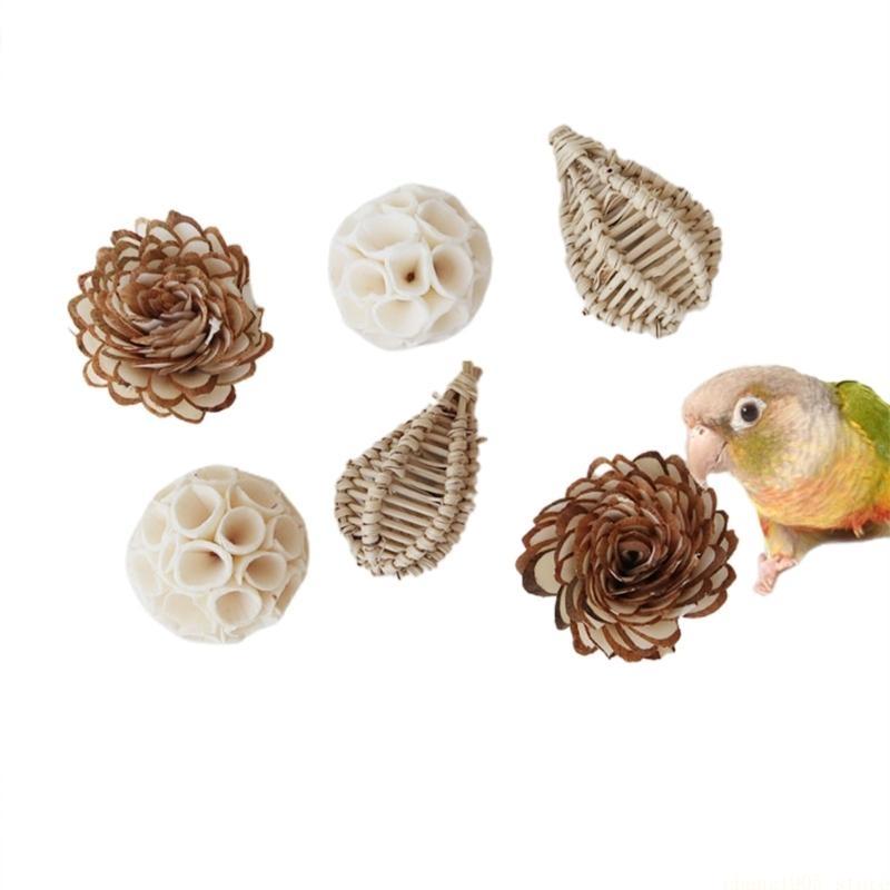 QX2E Parrots Grinding Chew Toy Chew Training Supplies Natural Rattan