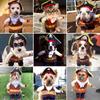 Pet Costumes, Funny And Cute Pet Dog Cat Halloween Pirate Costume Set, Christmas Holiday Costumes, Cosplay, Party Costumes, Cat And Dog Costumes