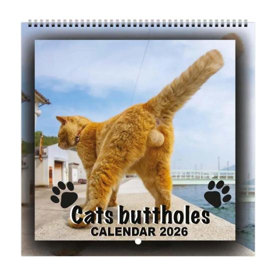 2026 Cat Ball Calendar Jan.2026 - Dec.2026 12 Monthly Wall Calendar with Hilarious Feline Moments Gag Gift for Cat Lovers