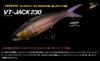 Fish Arrow VT-Jack Floating Lure 07 (7263)