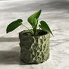 Vaso per Piante con Motivo ad Onda Stampato 3D, Fioriera Bianca Opaca per Succulente, Stampaggio Integrato Liscio Vaso Decorativo per Casa Scrivania Libreria Living