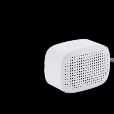 Bach Johann Q2 Portable Bluetooth Speaker CN Plug (adapter Included)