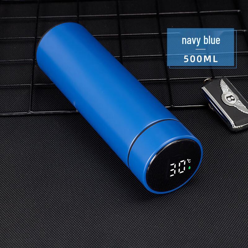 Smart LED Temperature Display Insulated Bottle