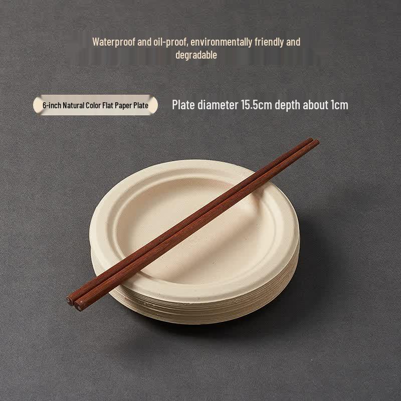 Qiwei Disposable Picnic Tableware Set