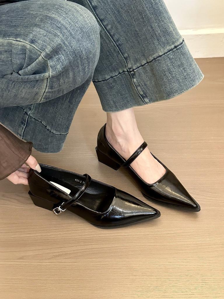 Ernie! Pointed Toe with Thick Heel Single Shoes Women's Spring and Autumn Versatile Commuter Mary Jane Shoes