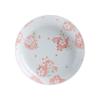 Assiette à poisson Ru Han en porcelaine osseuse sous glaçure